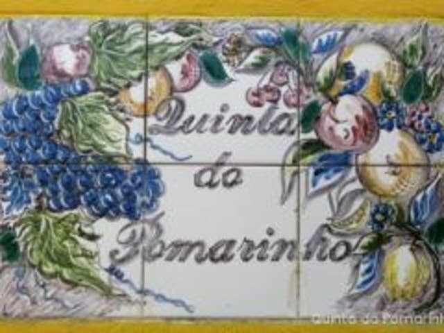 Villa Quinta Do Pomarinho Arouca Exterior foto